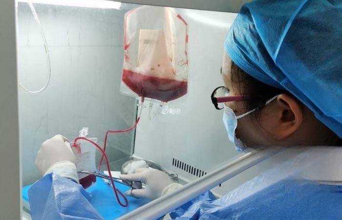 广西正规合法的脐带血保存机构有三家