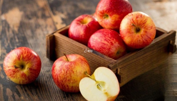 适量吃苹果不会影响胚胎着床