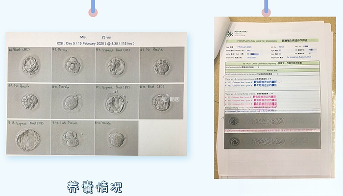 养囊和筛查的结果