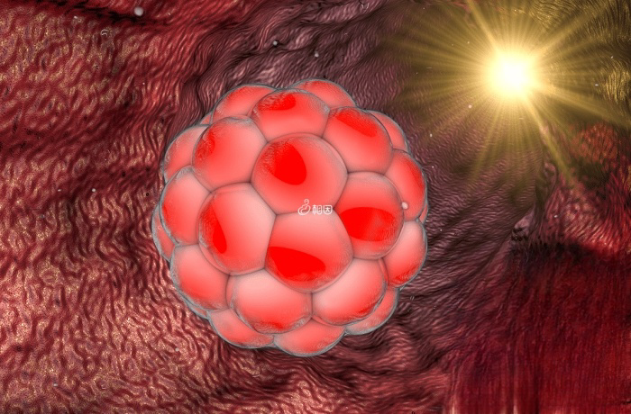 囊胚移植后女性身体没有任何感觉是正常的