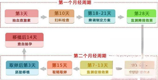 泰国试管婴儿流程图