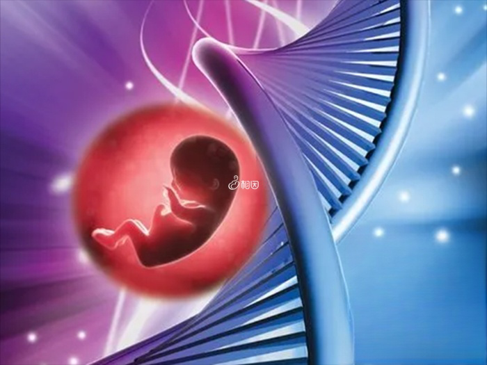 加州做试管婴儿可以选择胎儿性别