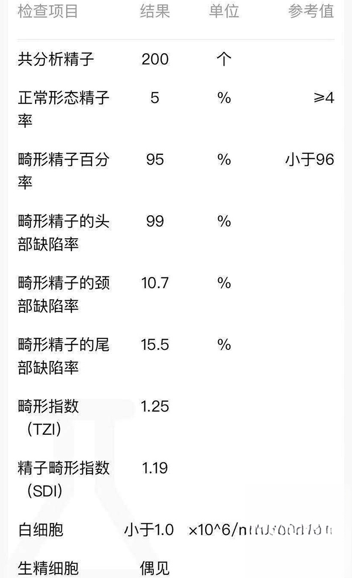 精子检查结果