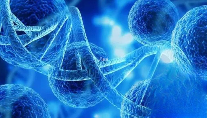 美国三代试管技术可筛查一百多种染色体病