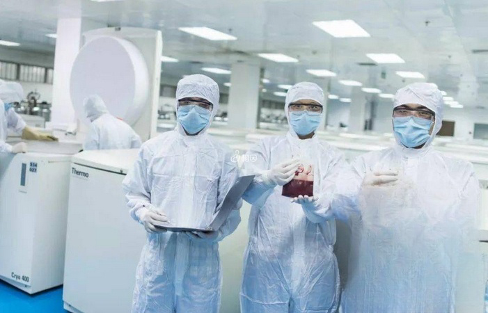 天津正规合法的脐带血保存机构只有一家