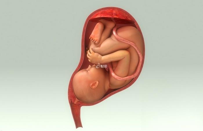 全入盆与半入盆反映胎儿的入盆程度