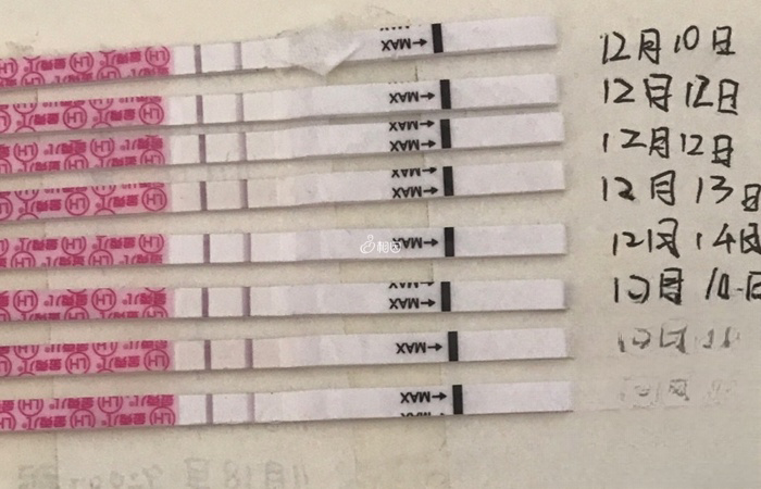 强阳同房对备孕生男孩有一定的提升几率但不多