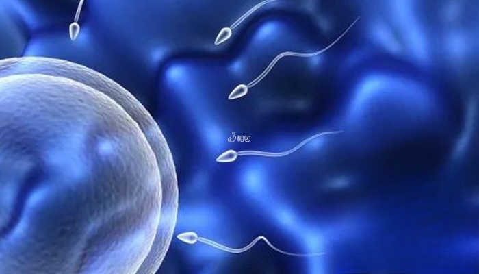卵子少精子质量不佳自然受孕困难