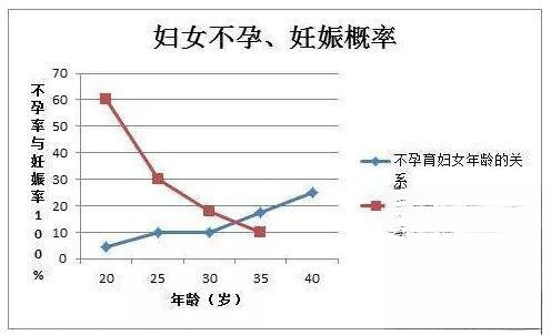 帕亚泰试管成功因素有那些