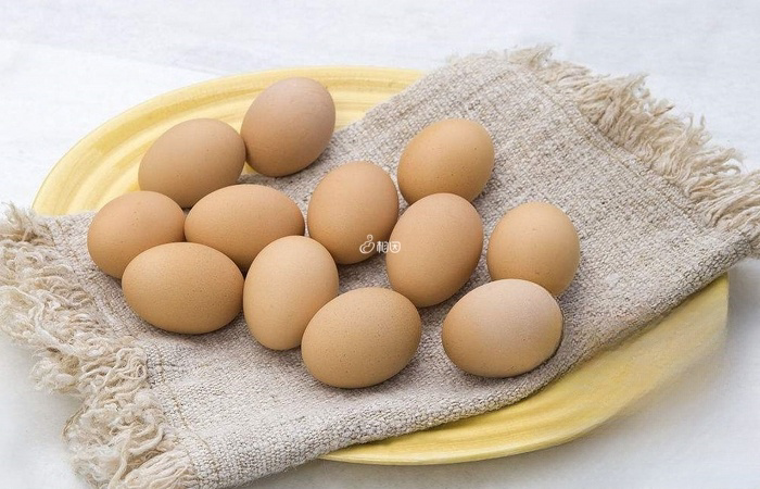 鸡蛋可以促进胚胎发育