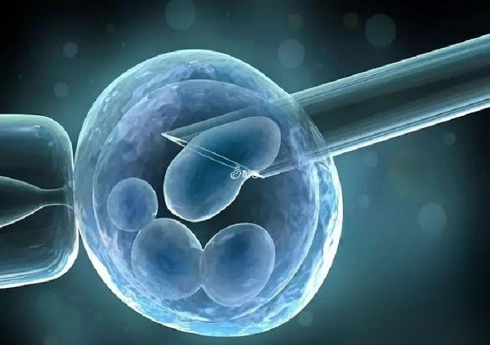 供卵试管能帮助卵巢早衰女性实现生育愿望