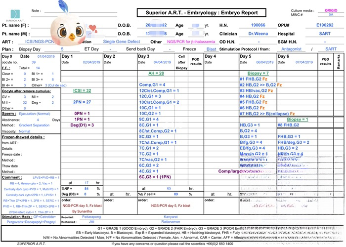 胚胎培育情况报告