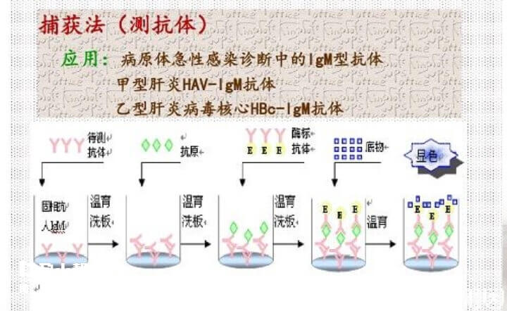 酶免法检测结果准确性