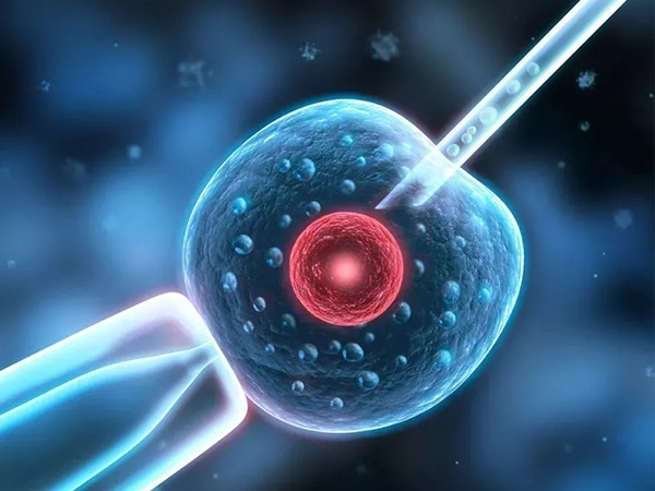 很多胚胎停育的家庭会选择做试管婴儿