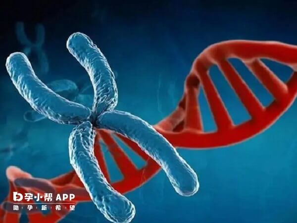 无创DNA被叫停主要是因为之前这项技术还不够成熟
