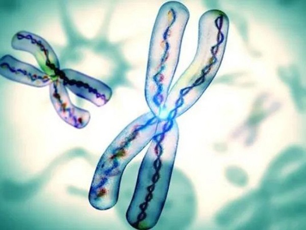染色体异常健康自然生育较难