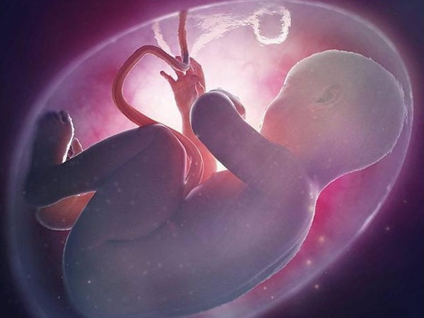 试管婴儿和自然受孕的孩子只是受孕过程不一样