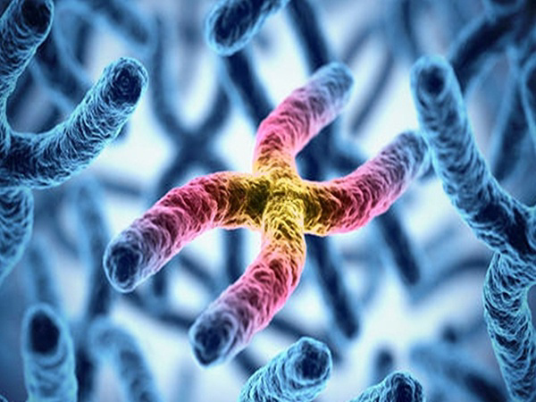 染色体异常造成多种疾病