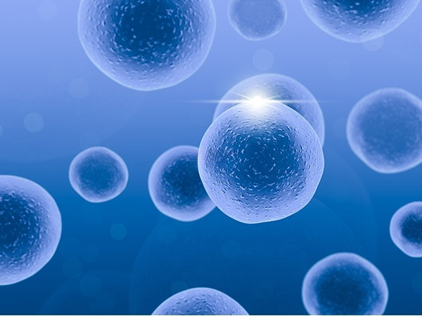 雌激素药物可以刺激卵泡的生长发育