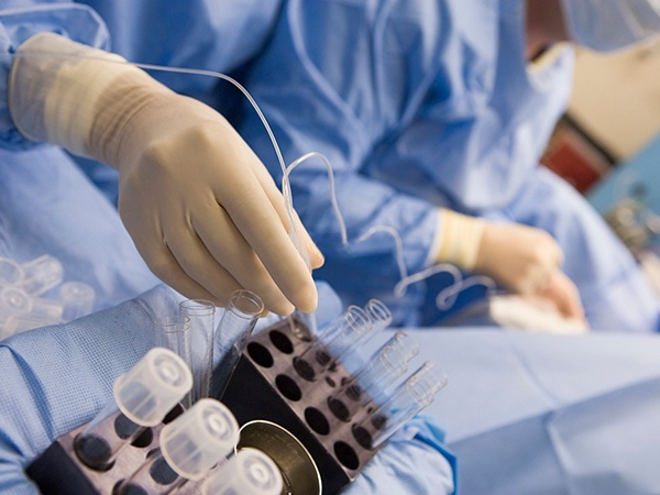 囊胚移植可以提高患者的着床率和妊娠率