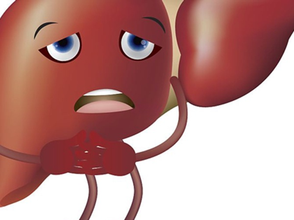 成人肝细胞性黄疸与肝脏疾病相关
