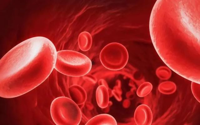 惠尔血适用于中性粒细胞减少症