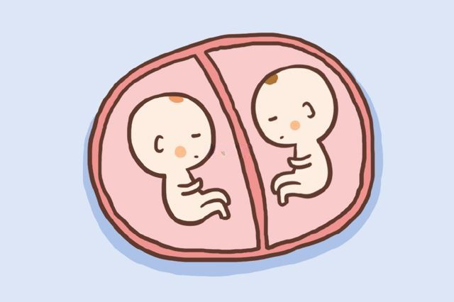 龙凤胎是两个不同的胎盘