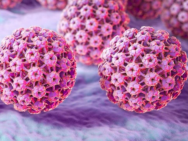 HPV即人乳头瘤病毒的简称