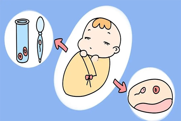 供卵试管婴儿，最后的生育机会？