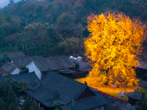 陕西省只有7家医院可以做试管