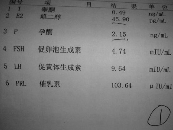 移植不着床成功需及时做检查