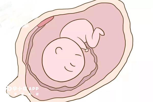 试管孕10周容易出现胎停育
