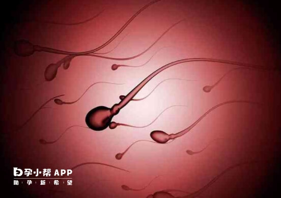 抗精子抗体阳性怀孕几率低