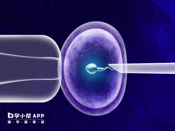 人工授精女方要定期去医院监测卵泡发育