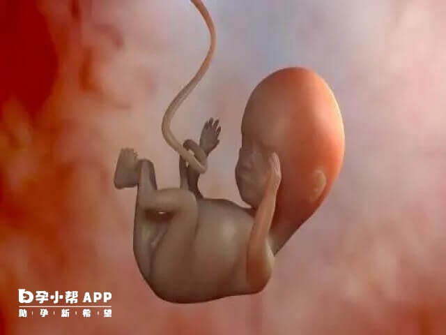 试管移植胚胎生化后下次可能还会发生生化