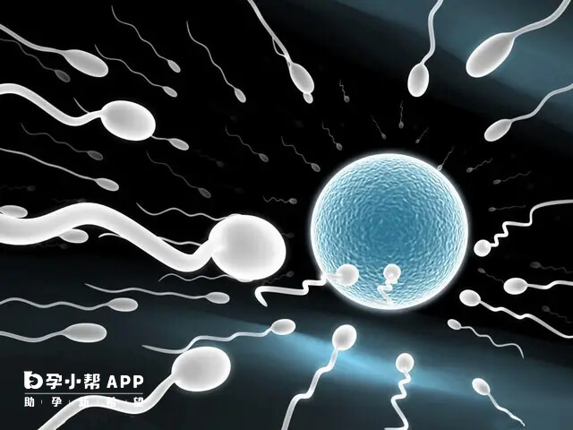 一代试管会出现多精子入卵