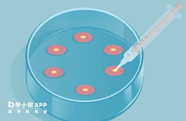 抗精子抗体阳性对生育有影响